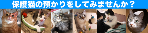 azukari.png